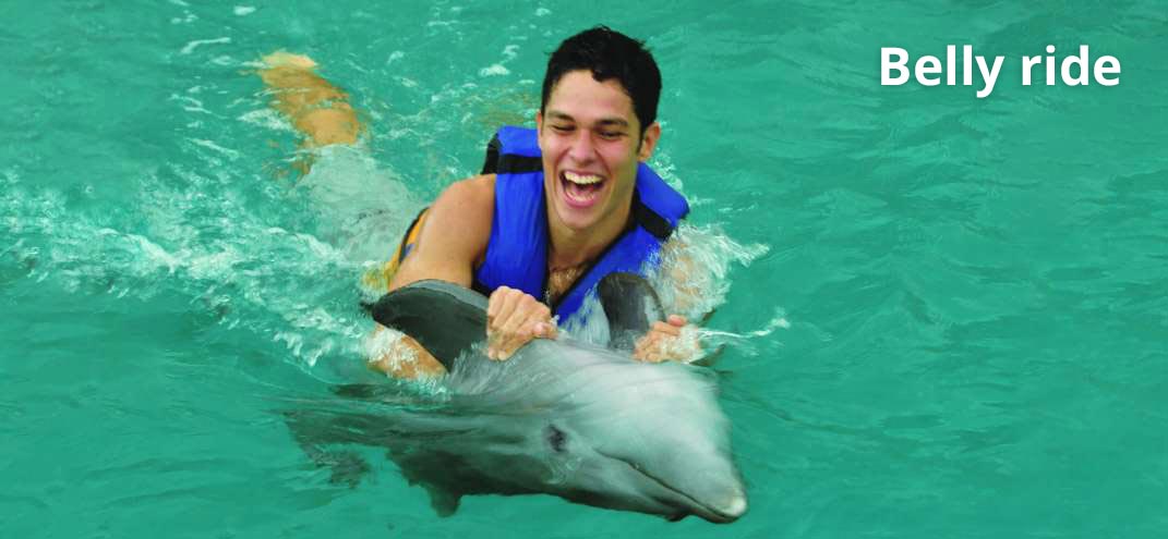 love from a lady to a dolphin