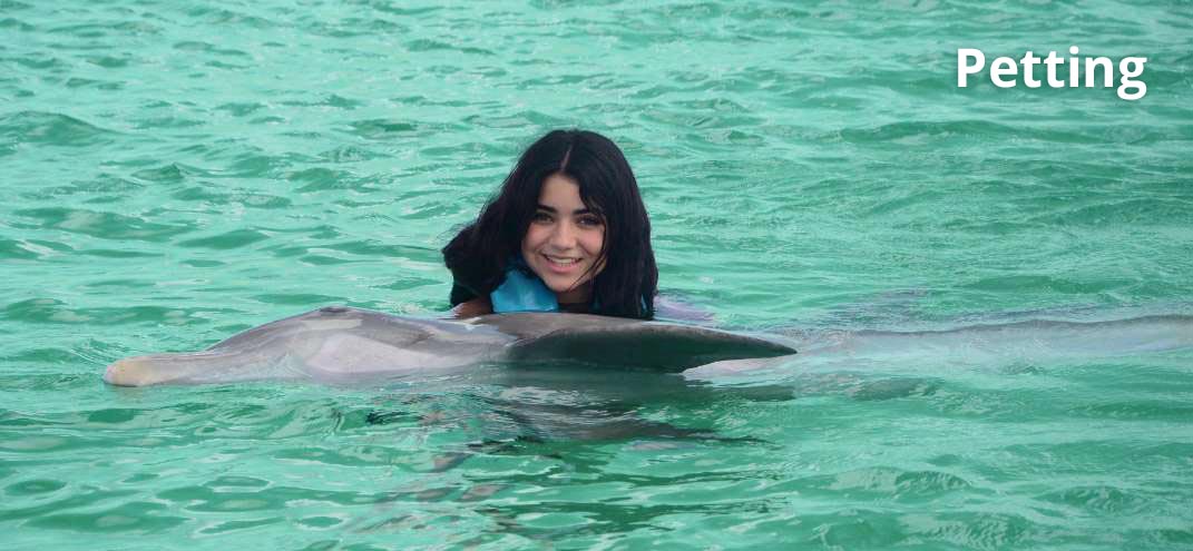 man smiling with a dolphin in punta cana
