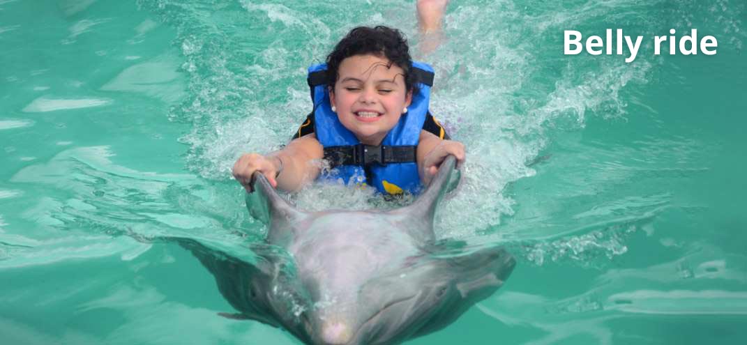 woman smiling for the photo with a dolphin