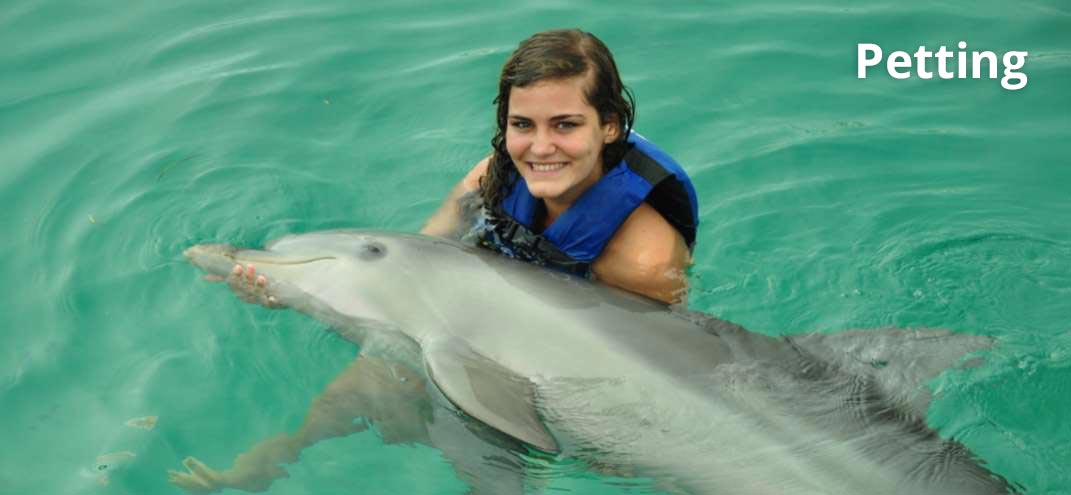teenager huging a dolphin in punta cana