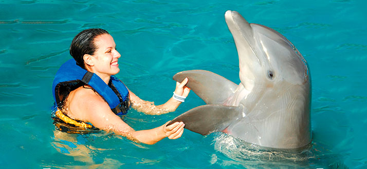 activities with a dolphin in punta cana