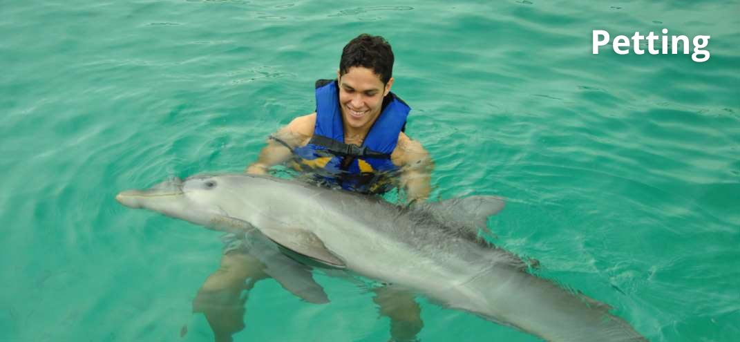 guy smiling with a dolphin in punta cana