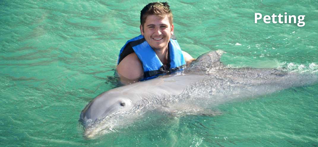 guy smiling with a dolphin in punta cana