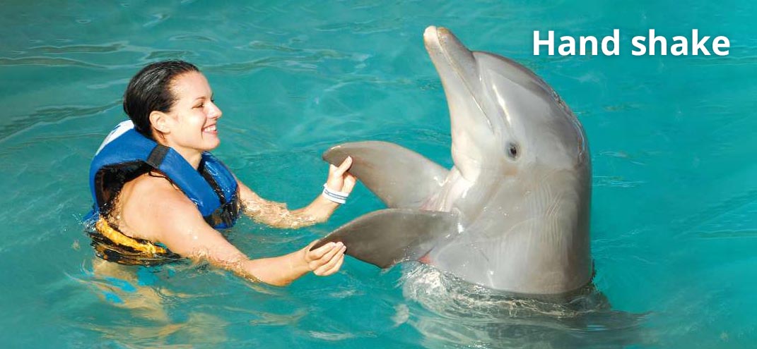 belly ride activity in ocean adventures