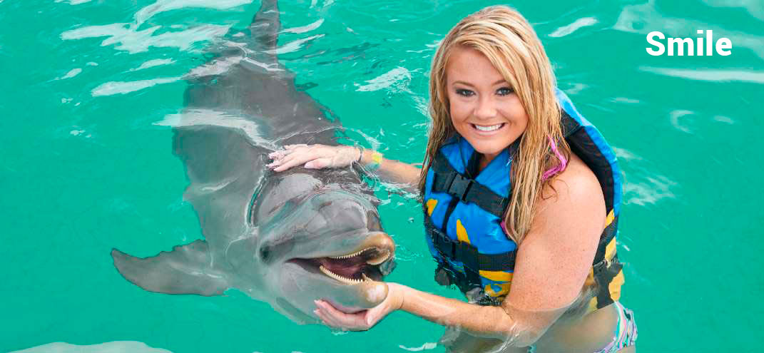 dolphin dance in ocean adventures