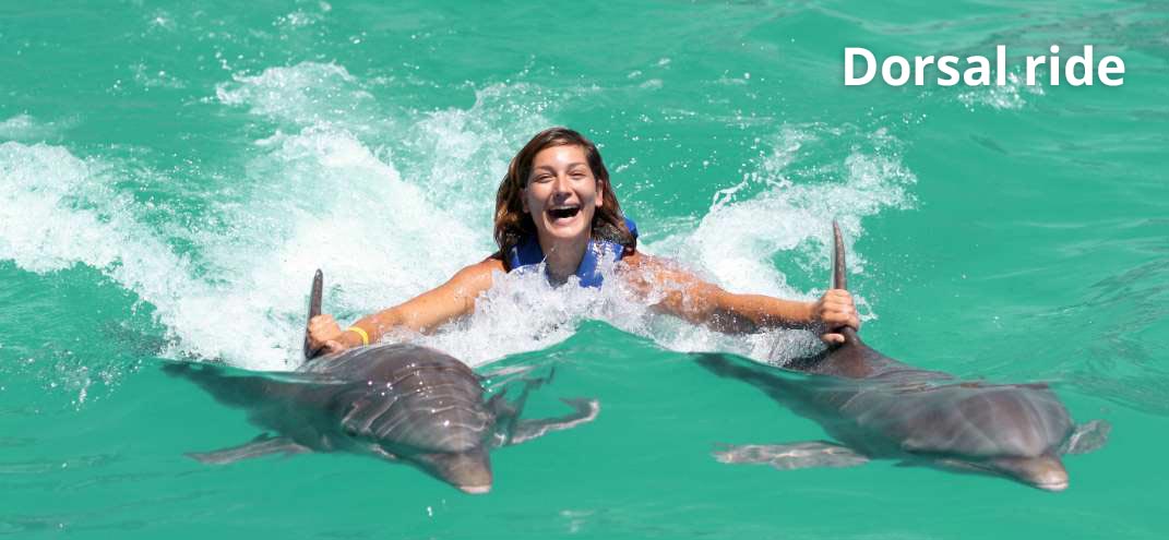 kids playing with dolphins