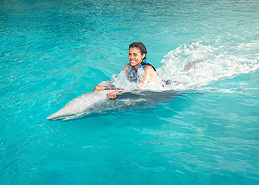 swim with dolphins in bavaro