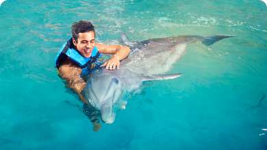 dolphin encounter punta cana