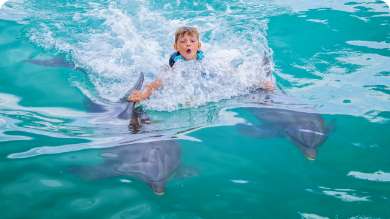 royal swim punta cana