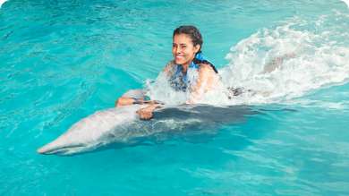 swim with dolphins in bavaro