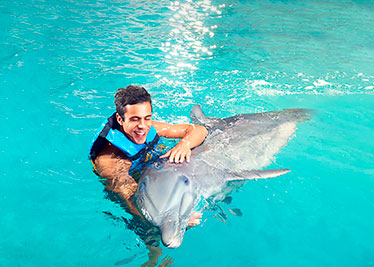 guy smiling with a dolphin in punta cana