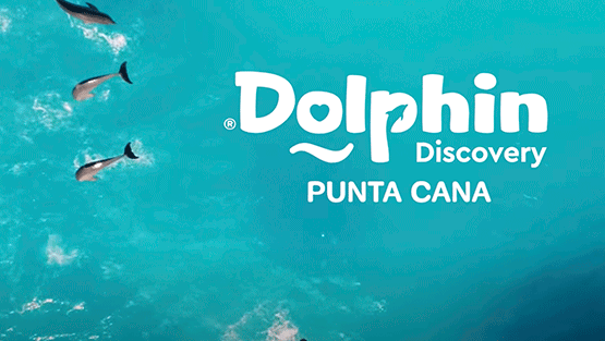swim with dolphins in punta cana