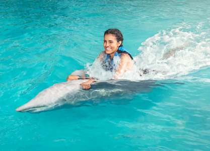 swim with dolphins ocean adventures